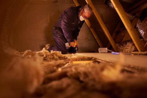 Best Insulation Contractor Near Me  in Garden City, MO